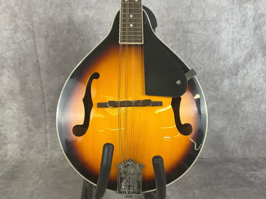 Rogue A-Style Mandolin - 3