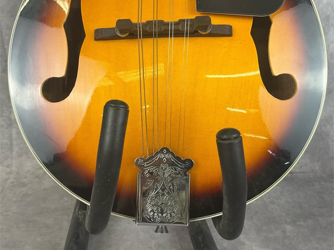 Rogue A-Style Mandolin - 4