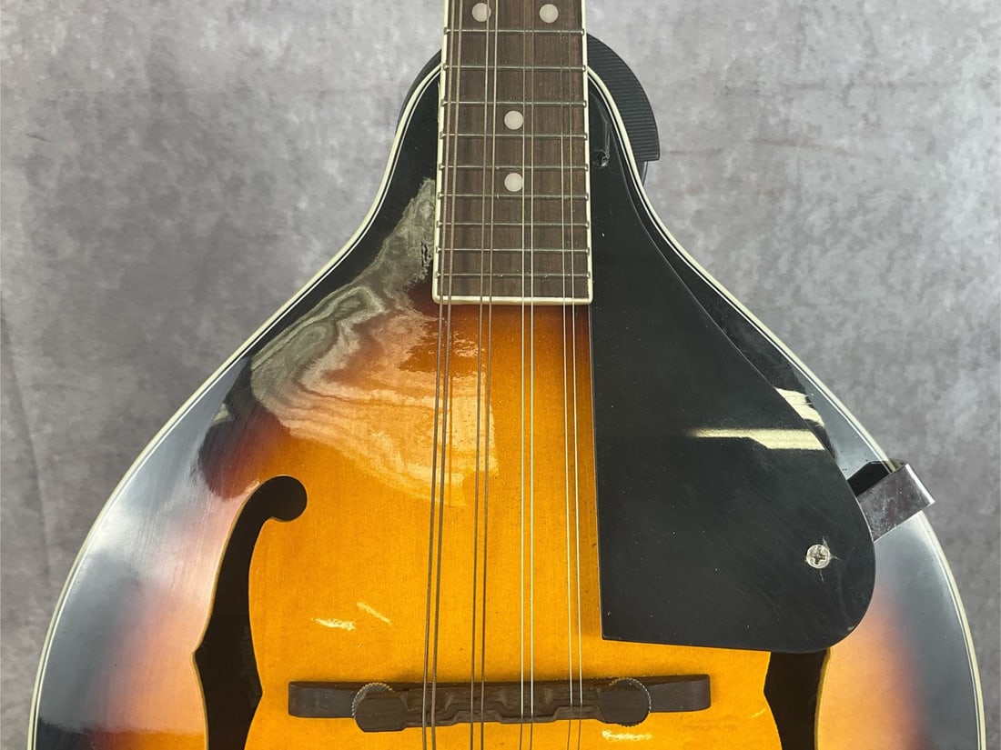 Rogue A-Style Mandolin - 5