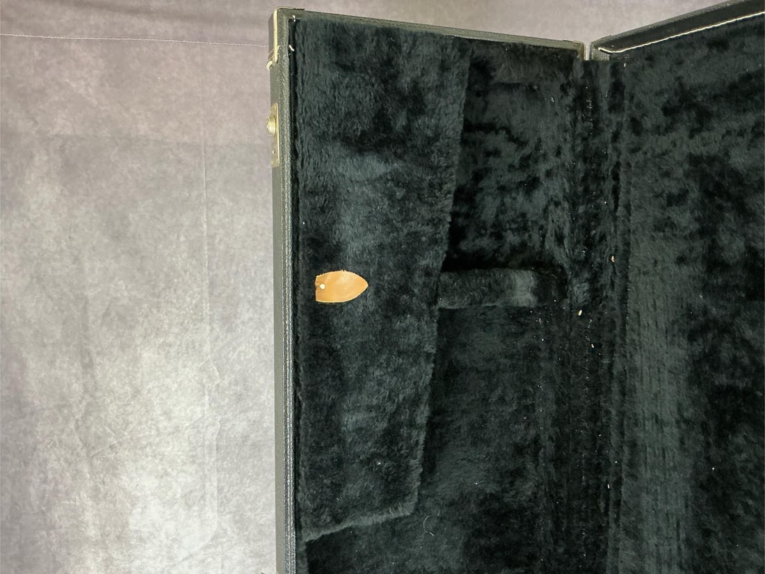 Unbranded Hardshell Bass Case - 4