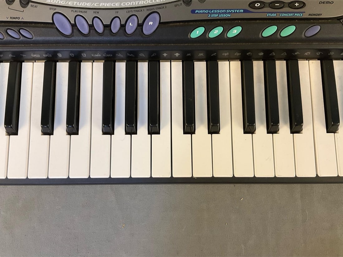 Two Casio Electronic Keyboards - 17