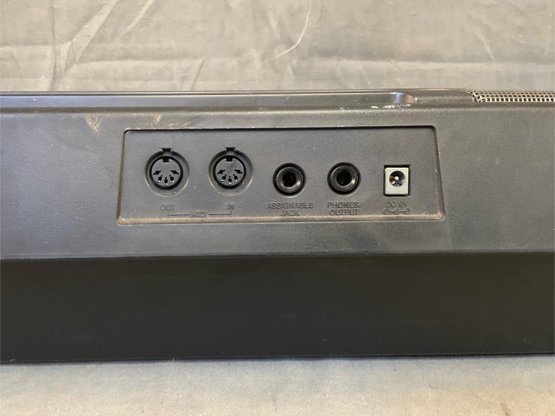 Two Casio Electronic Keyboards - 20