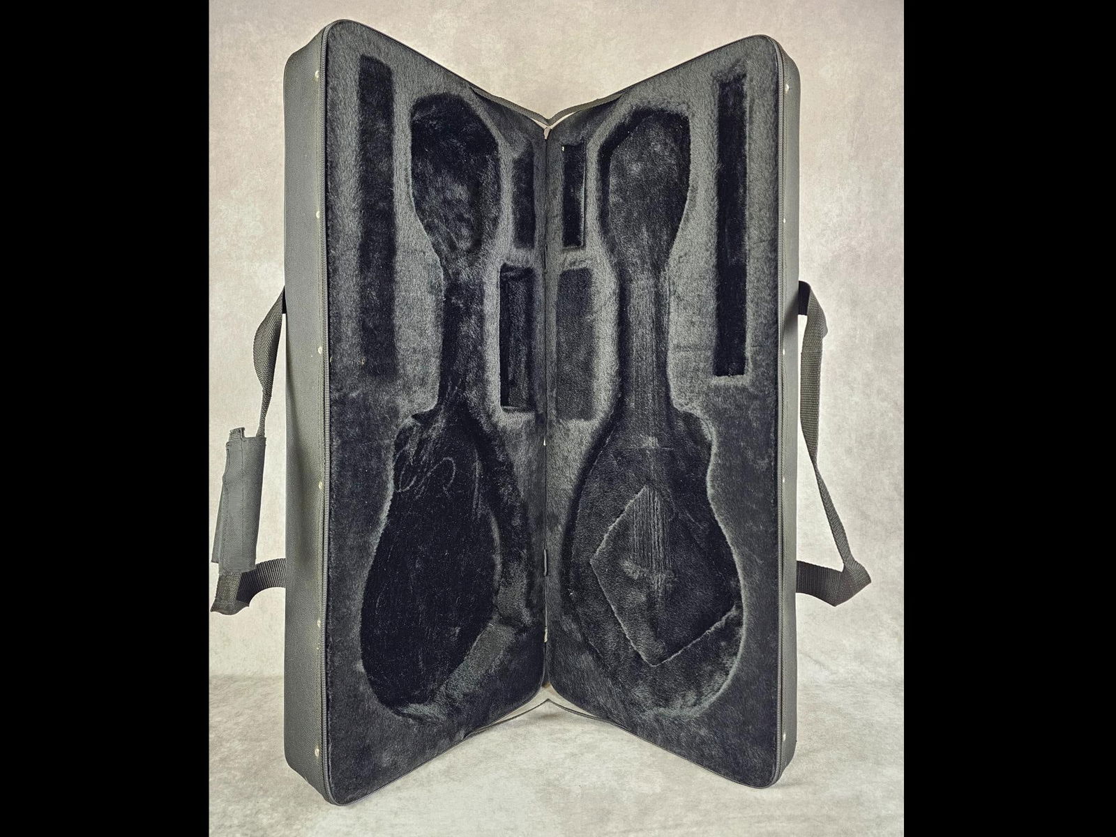 Mandolin Case - 3