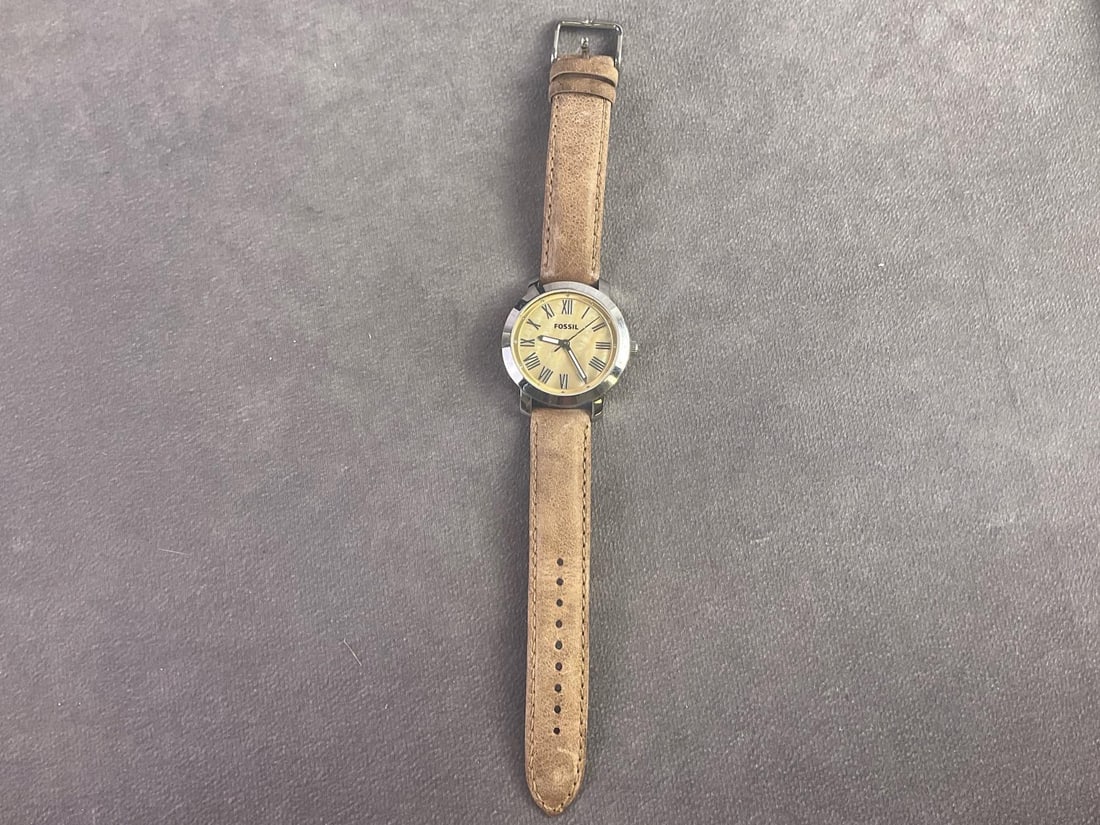 Fossil Watch - 2