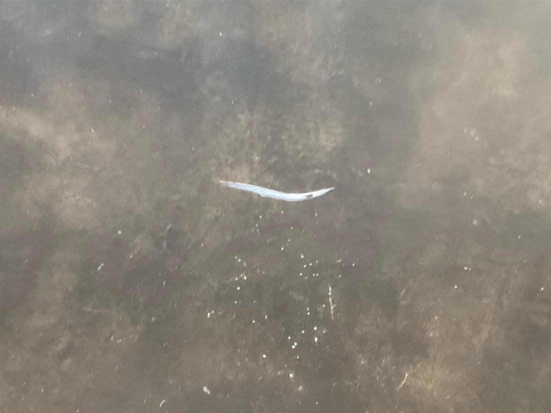 Chippendale Style Desk - 7