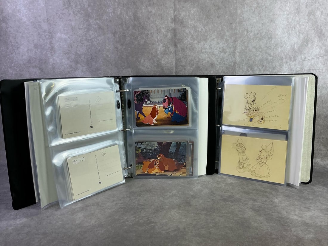 Disney Postcards: Approximately 200 Disney postcards including Mickey, Minnie, The Jungle Book, Robin Hood, and more. All in good condition with plastic sleeve protectors, circulated and non. Each binder measures 10