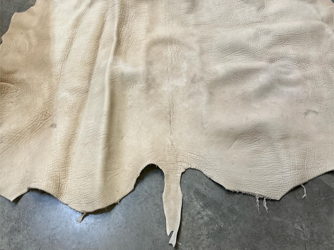 Large Animal Hide - 3