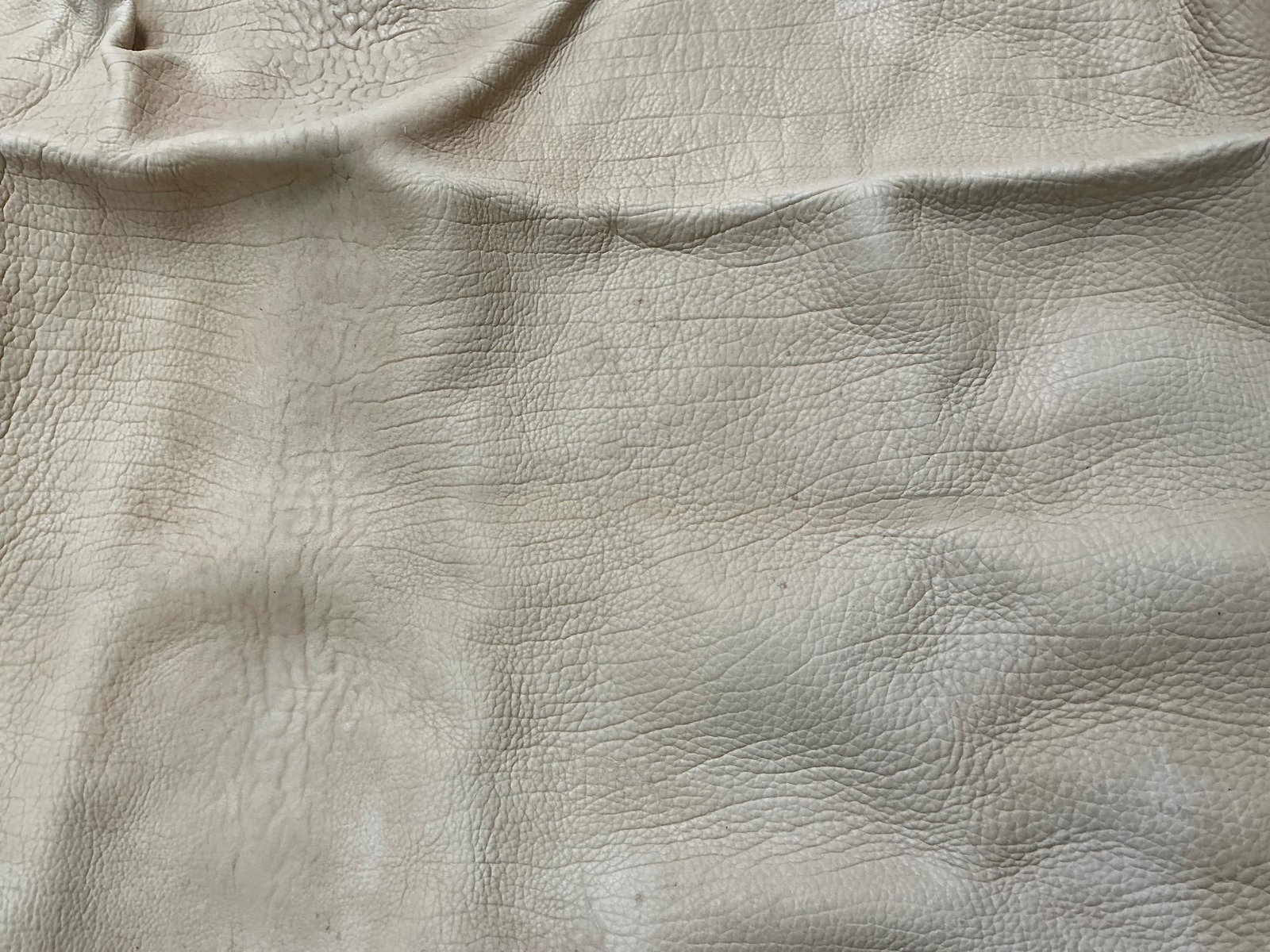 Large Animal Hide - 4