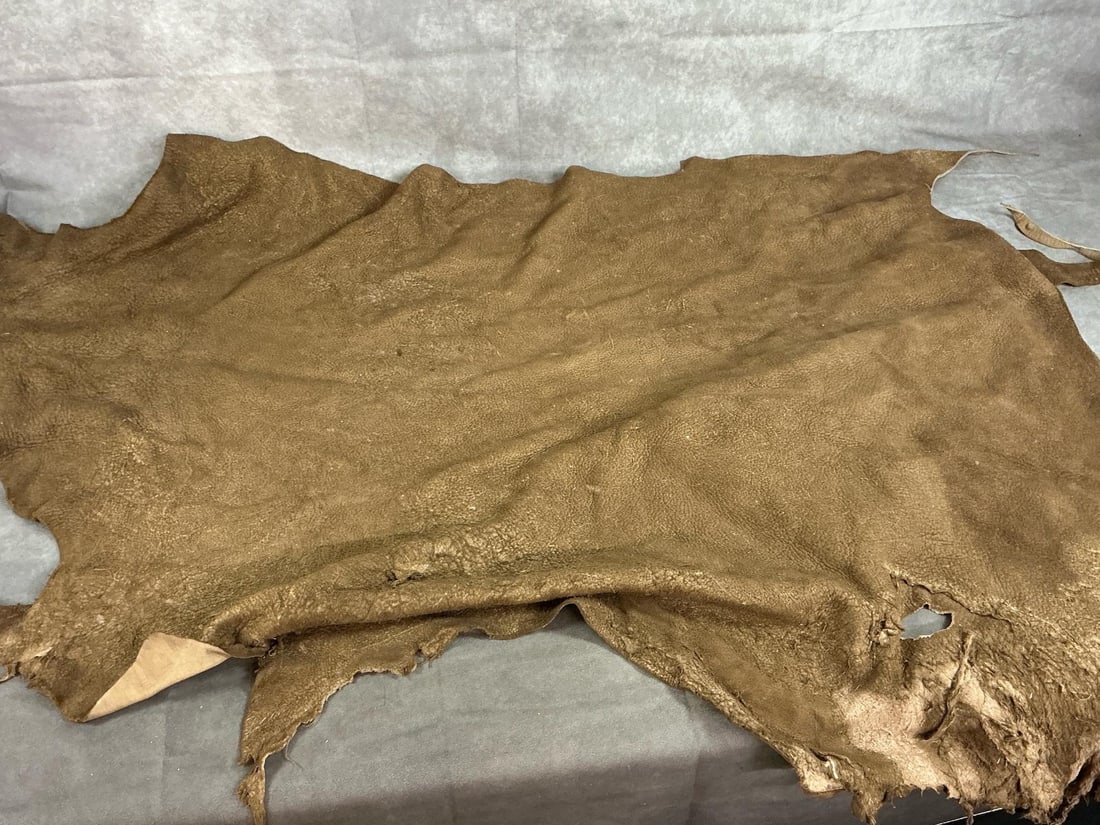 Large Animal Hides - 2