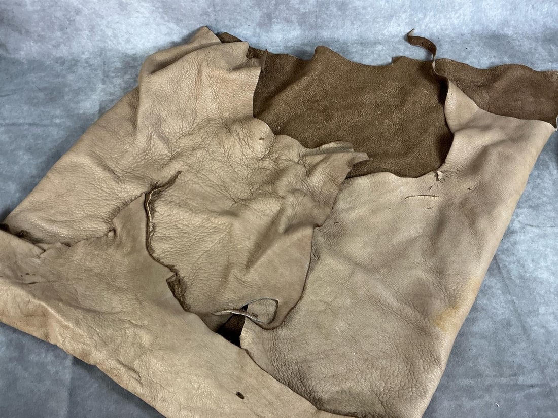 Large Animal Hides - 3