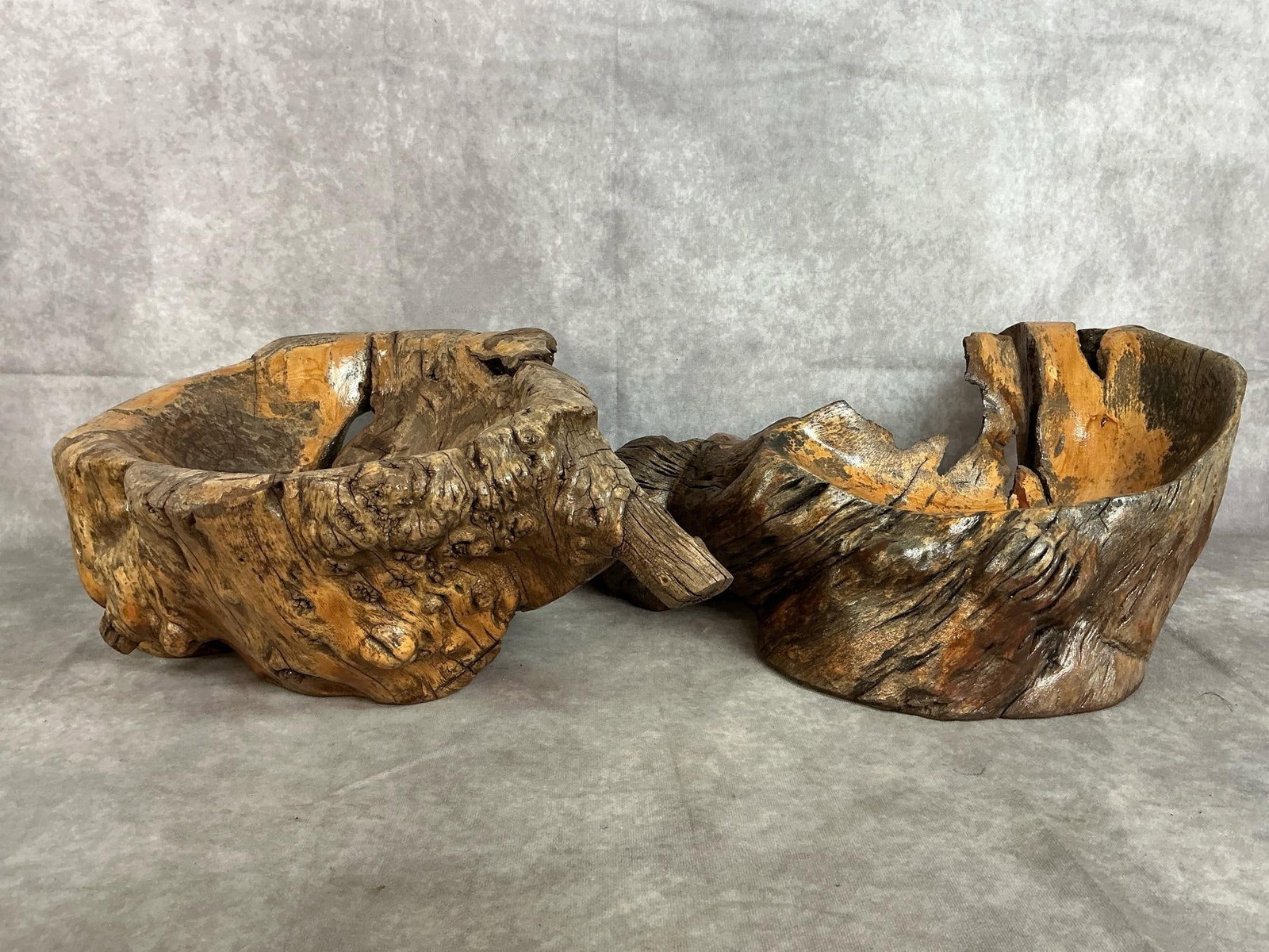 Burl Wood Centerpieces: Two unique wooden burl root "bowls" or centerpieces. Smooth interior of swirled grain pattern and rustic exterior. Largest measures 17 inches wide x 12.5 x 7.5 inches tall.