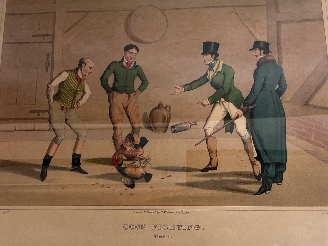 Cock Fighting Lithographs - 5