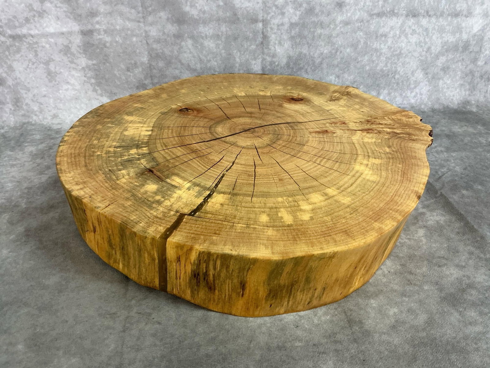 Rustic Wood Slice: Clear sealed wood slice used for decorative purposes. Felt pads on bottom. Well sealed. Measures 16 inches in diameter x 3 inches tall.