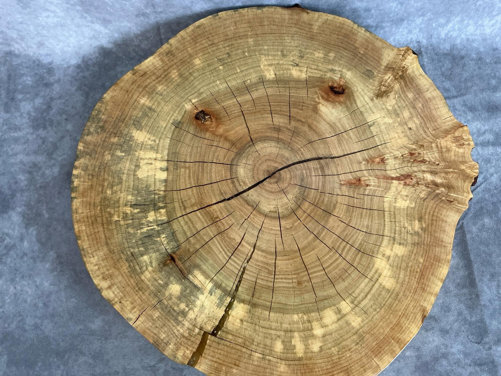 Rustic Wood Slice - 3