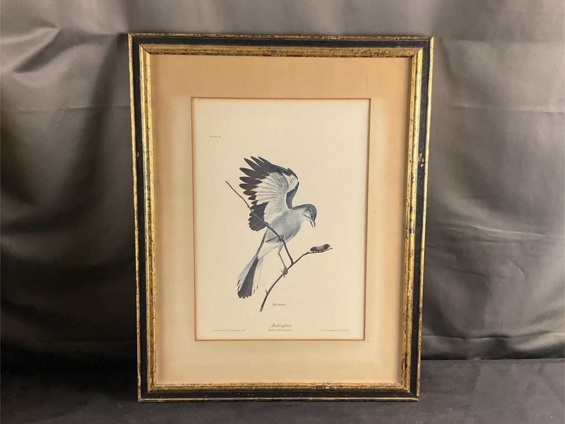 Ornithological Prints - 2