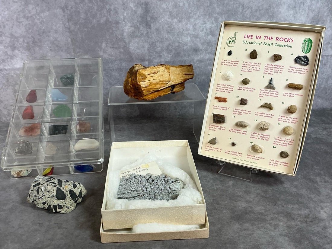 Gemstones, Rocks, & Minerals (1 of 6)