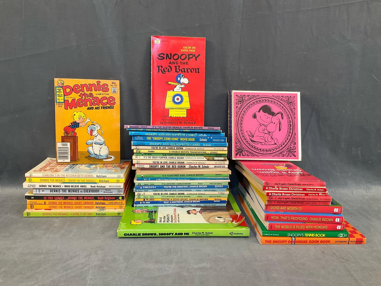 Comic Paperback Books (1 of 12)