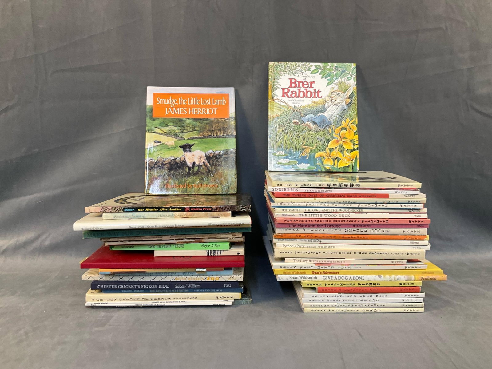 Children's Books: Lot of approximately forty five vintage collectible children's books. Featuring author Brian Wildsmith, Robert McCloskey, two first editions by "Wolo", and Shel Silverstein. Good condition. "Tweedles