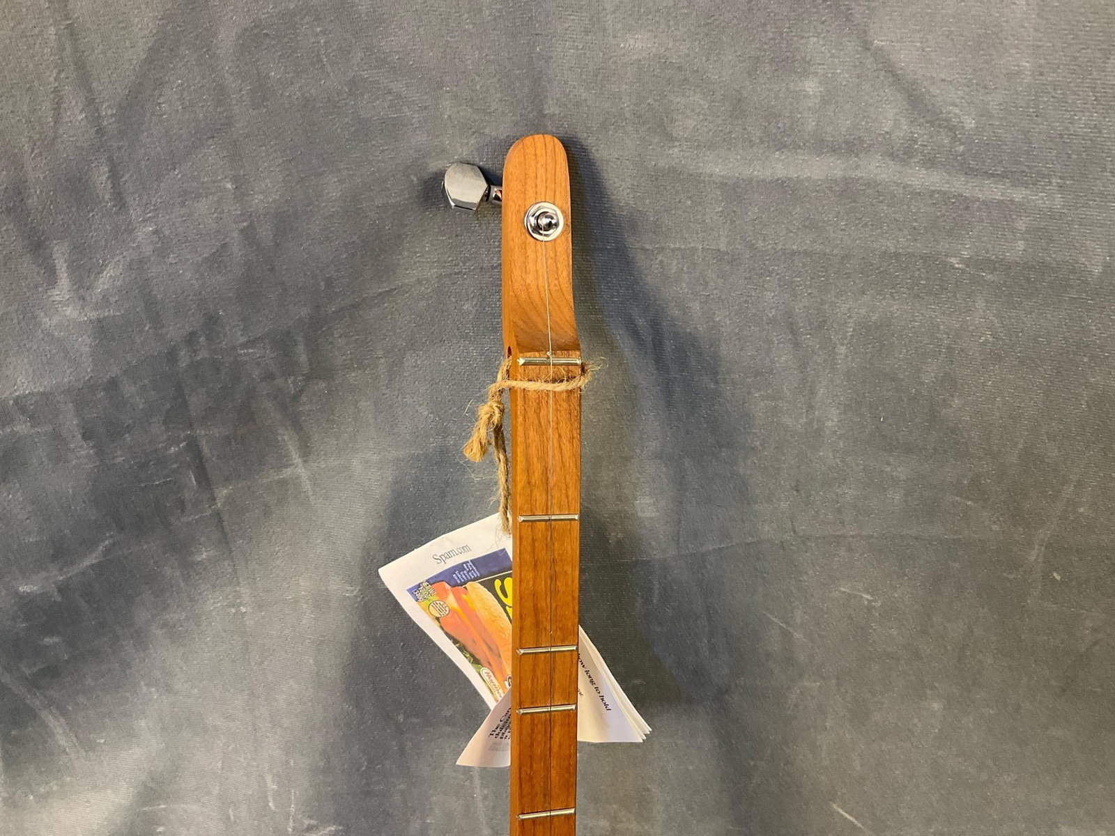 Spam "Can-Jo?? Dulcimer/Guitar - 3