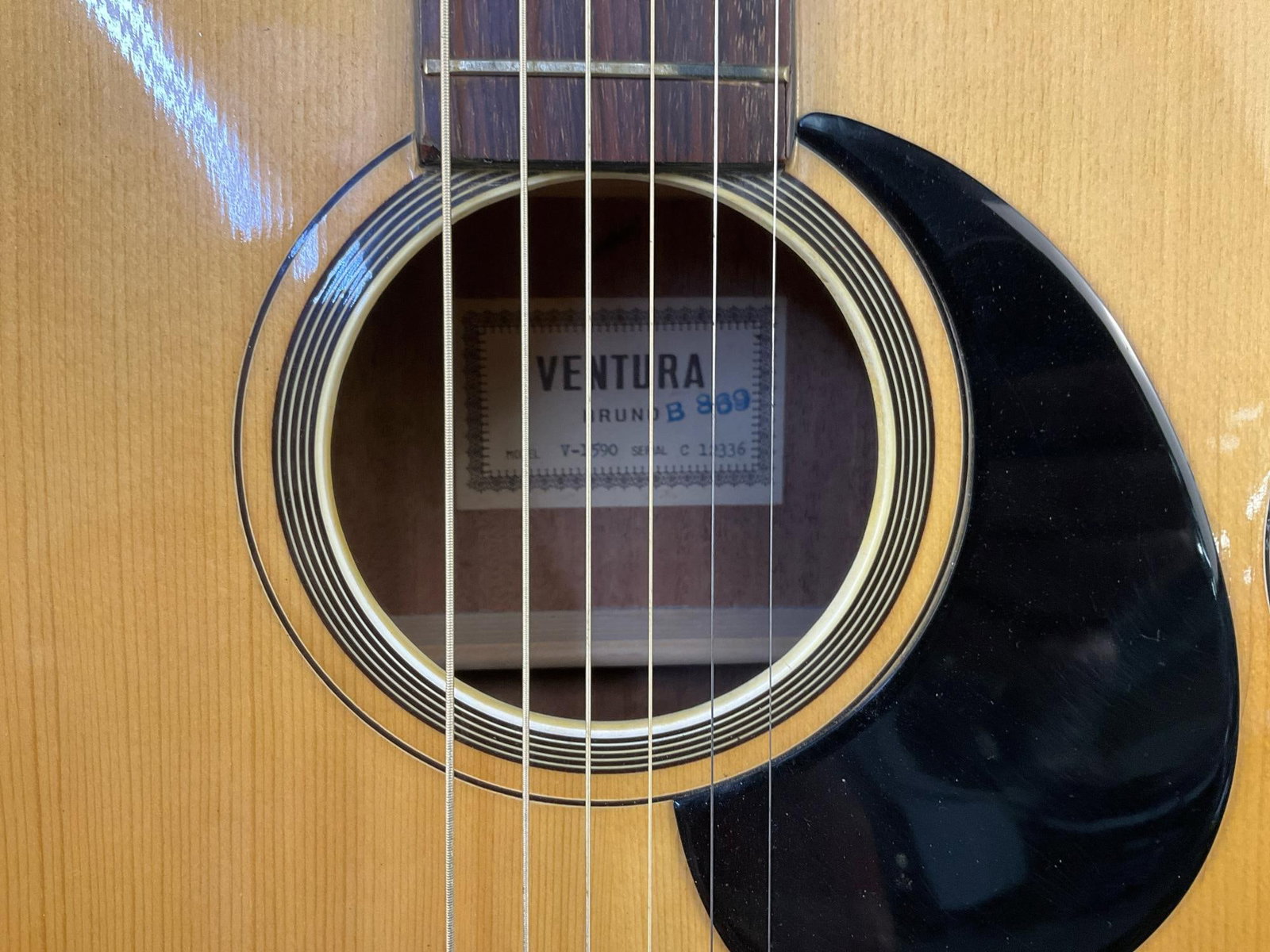 Ventura Twelve String Acoustic Guitar - 2