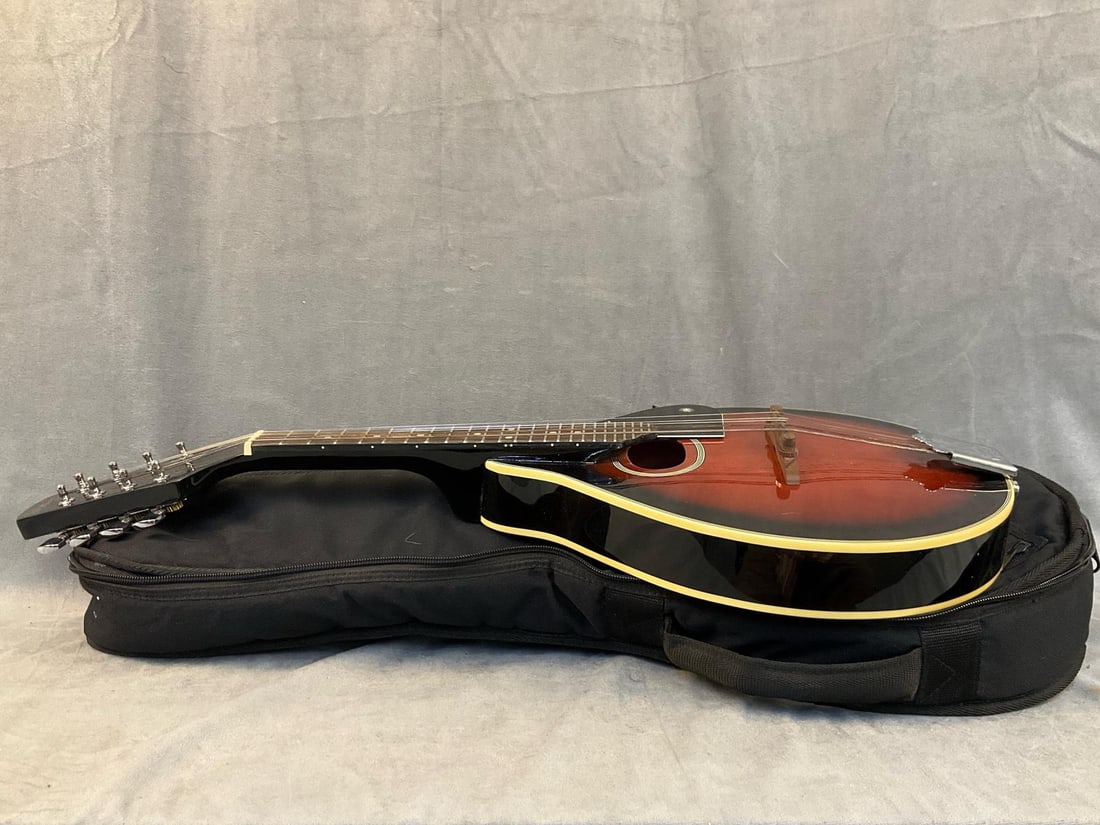 Stag Mandolin - 10
