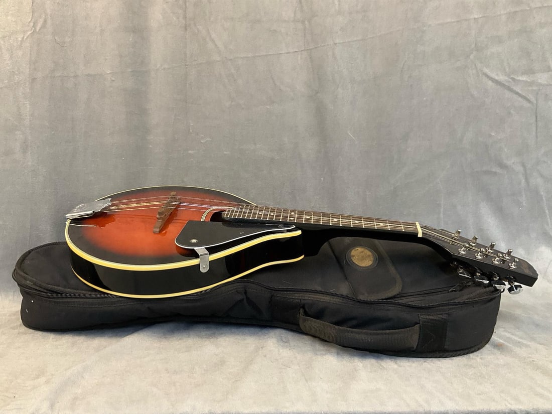 Stag Mandolin - 11