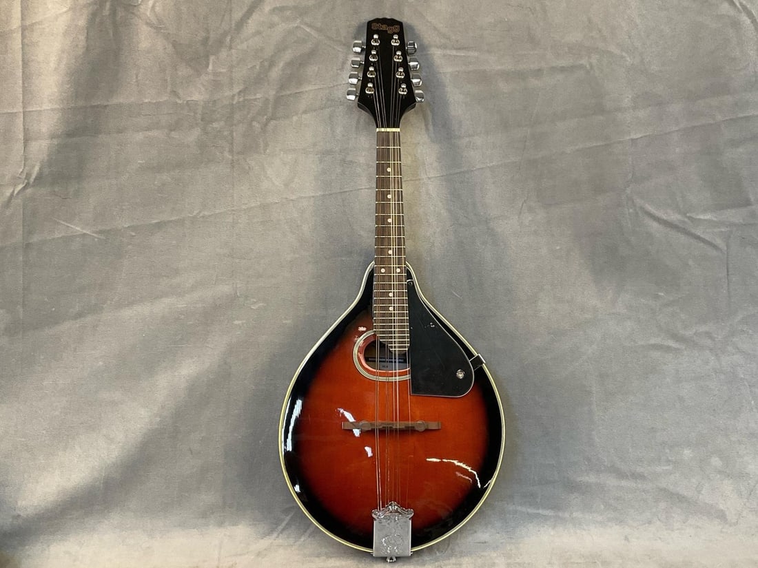 Stag Mandolin (1 of 11)