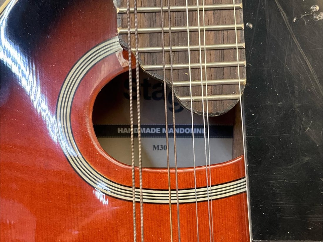 Stag Mandolin - 3