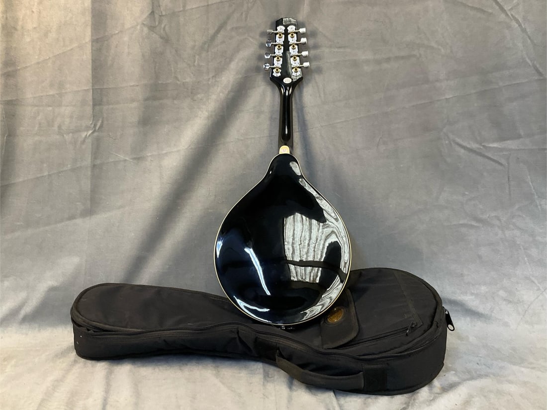 Stag Mandolin - 7
