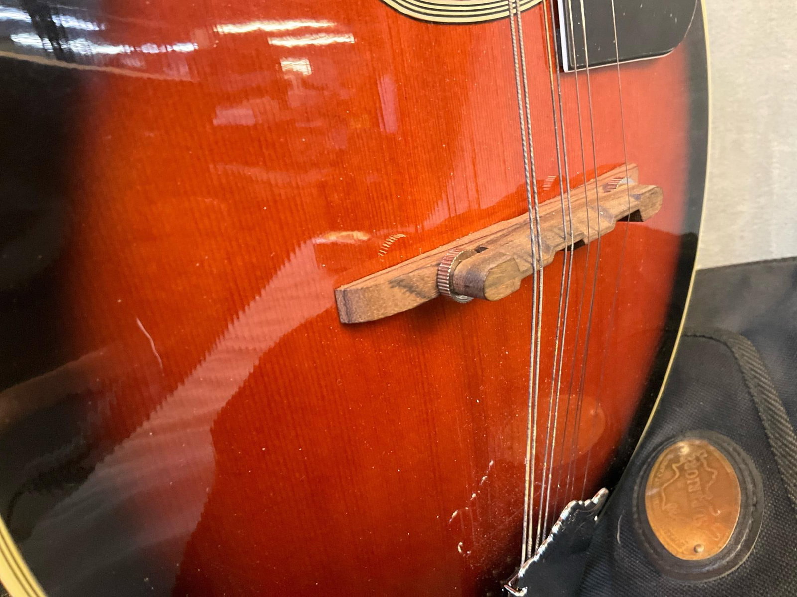 Stag Mandolin - 9