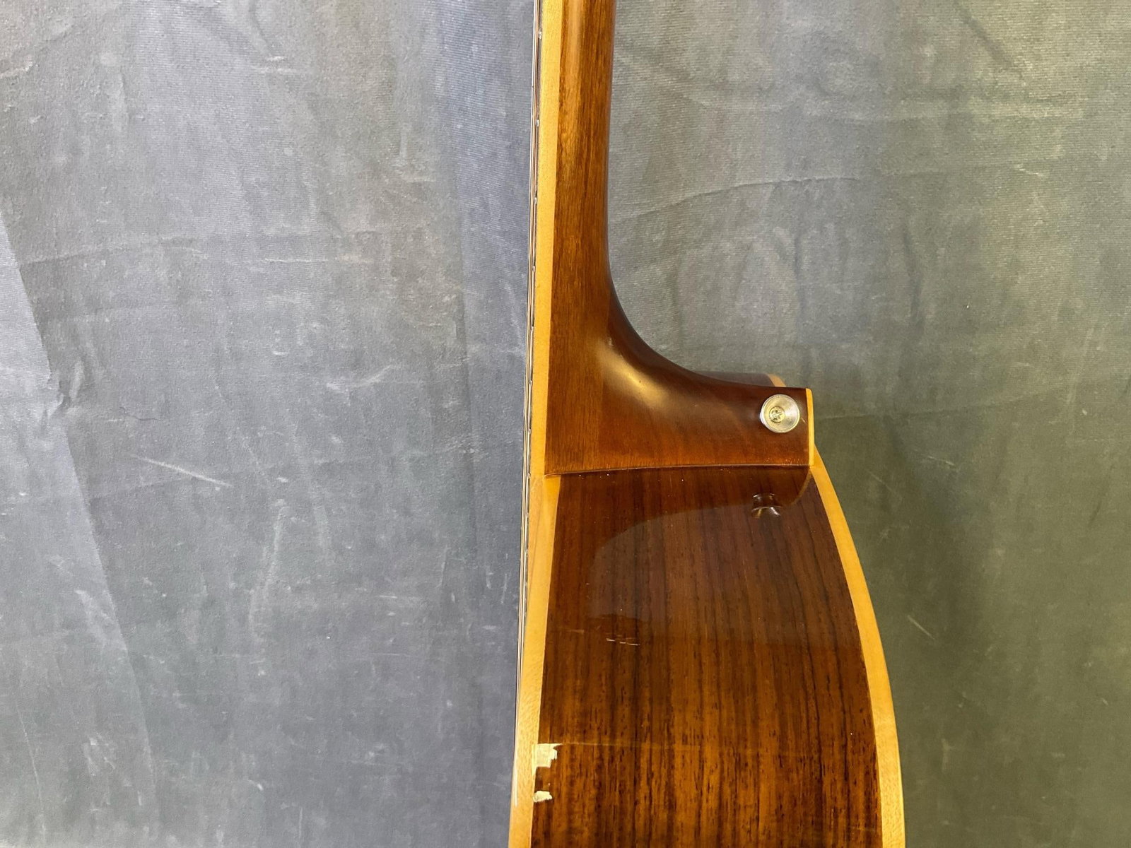 Alvarez Acoustic Guitar - 10