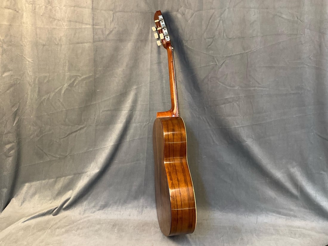 Classical Acoustic Guitar - 7