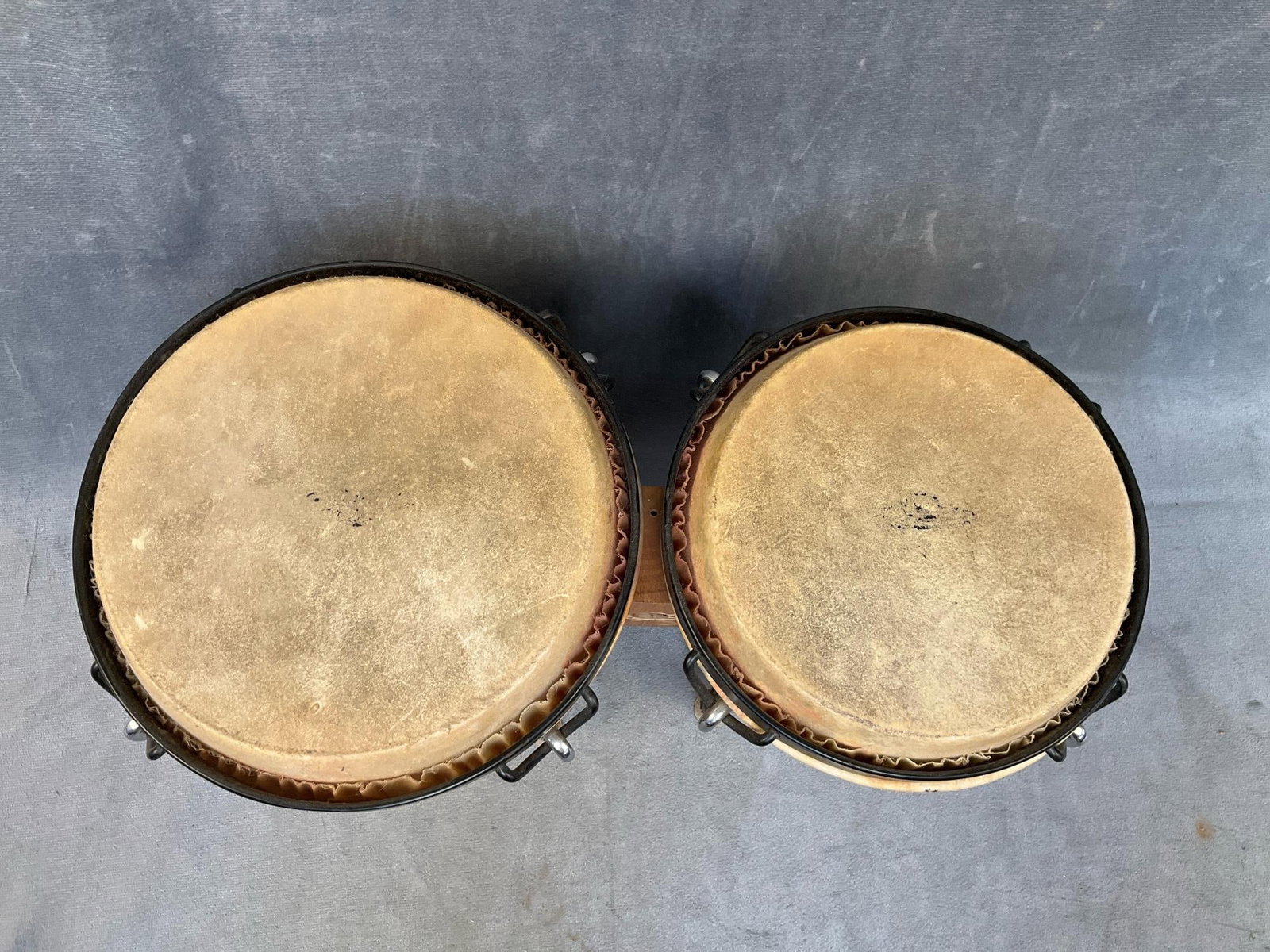 Bongo Drums - 4