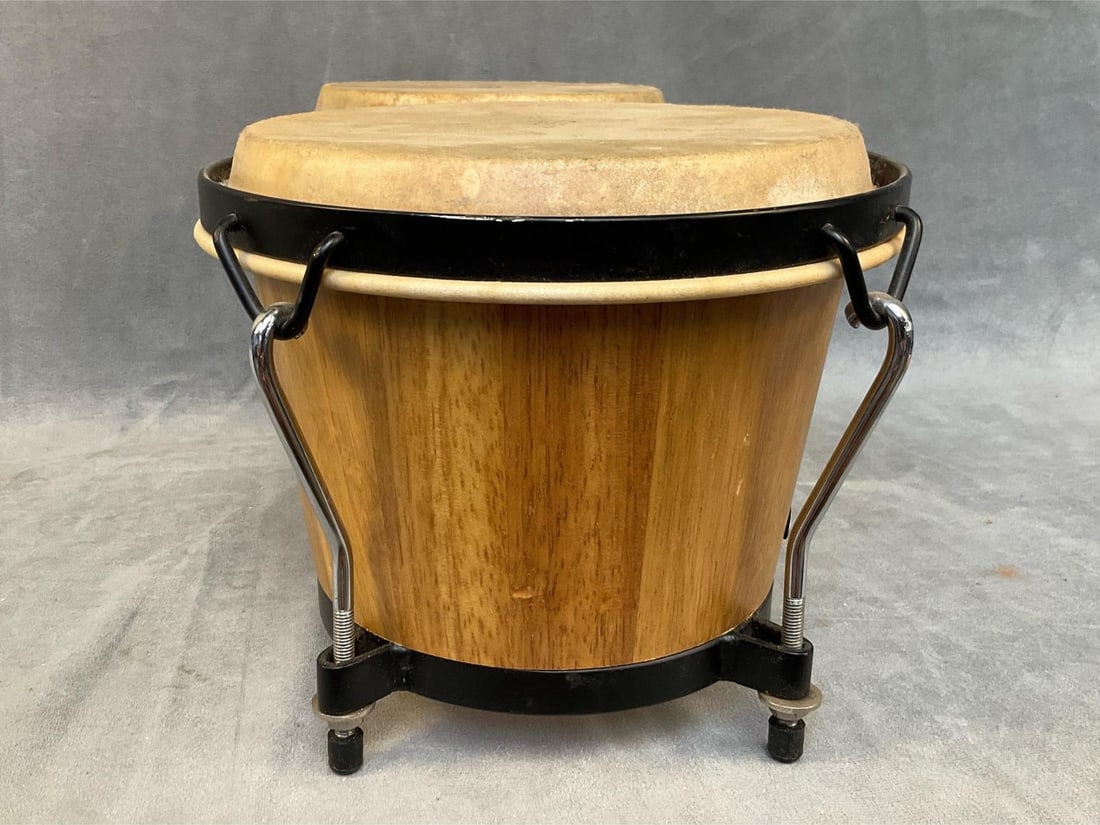 Bongo Drums - 5