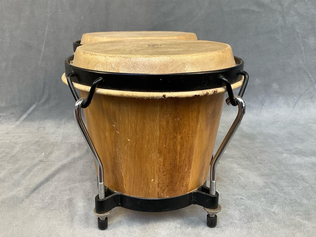 Bongo Drums - 7