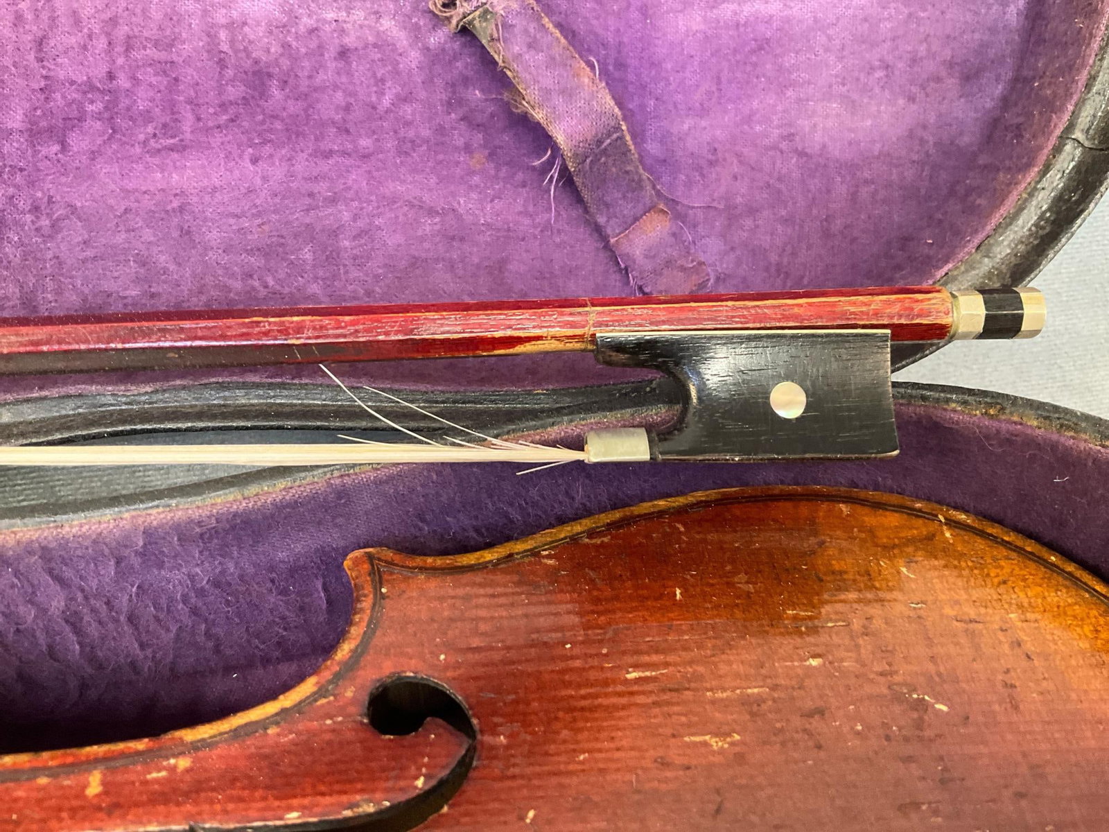 Violin - 12