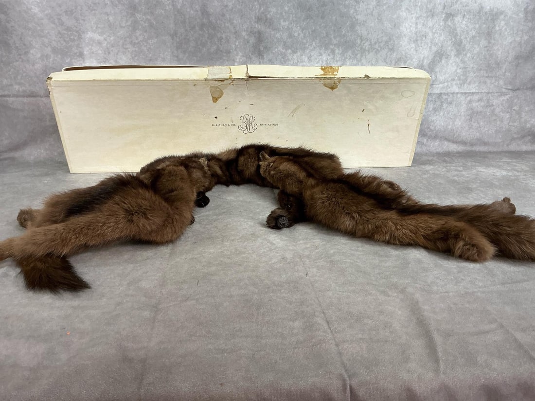 Mink Stoles - 8