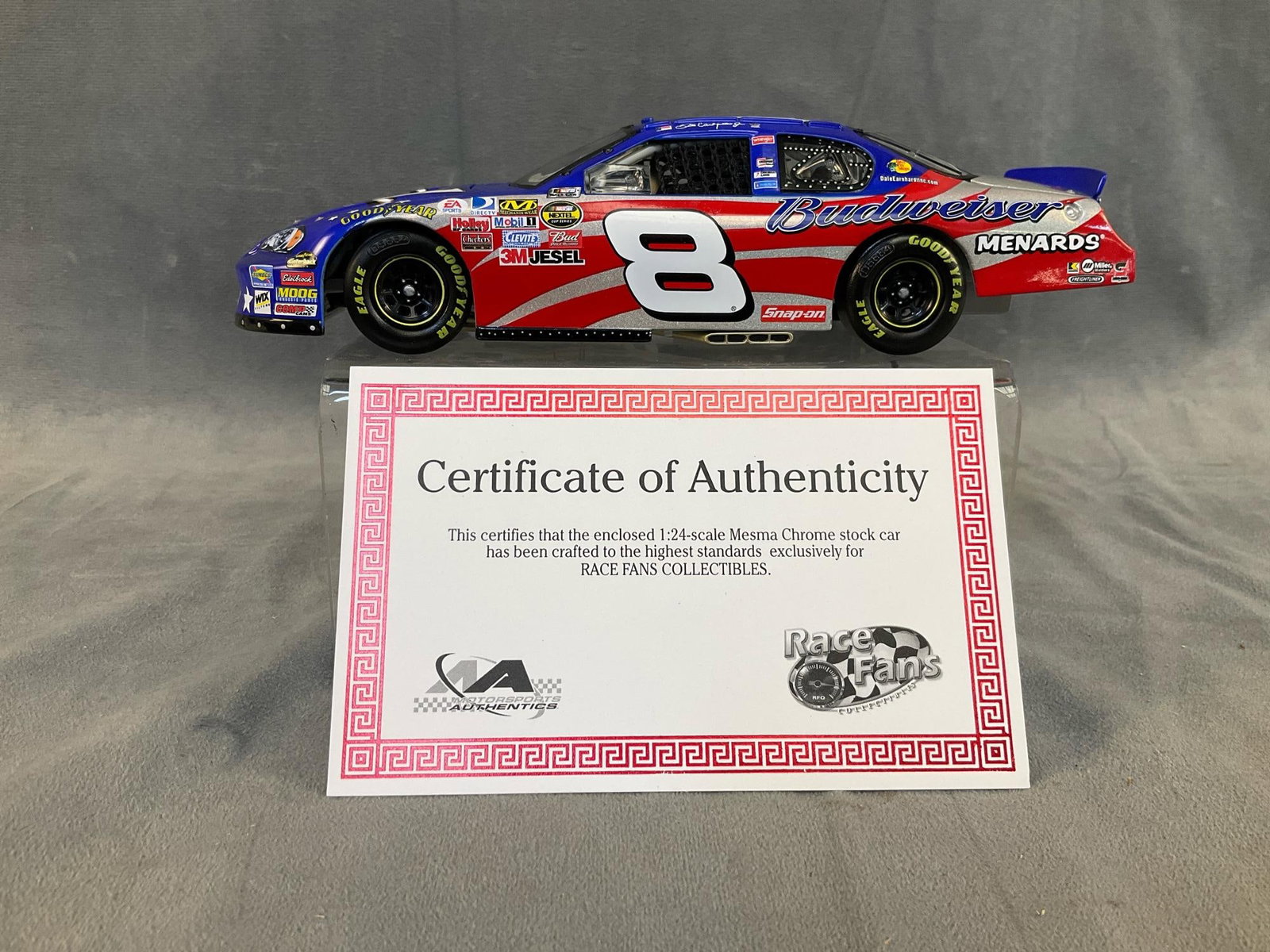 Earnhardt Jr. NASCAR - 20