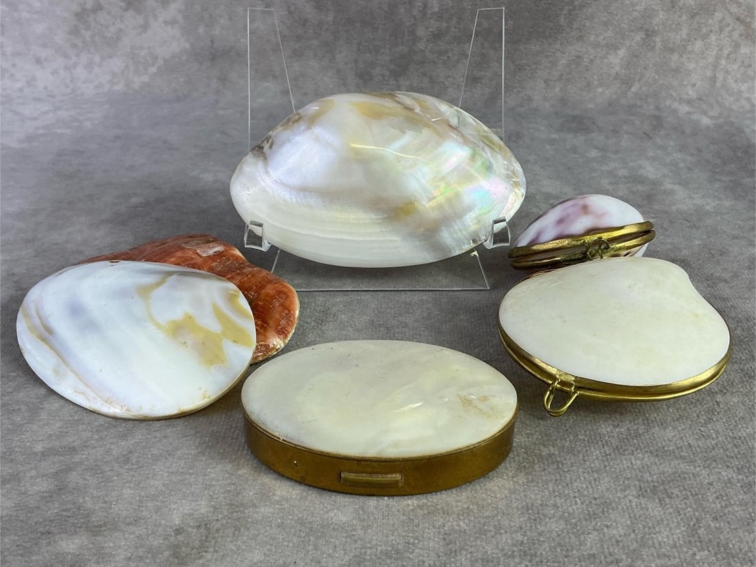 Purses, Shells, & More - 7
