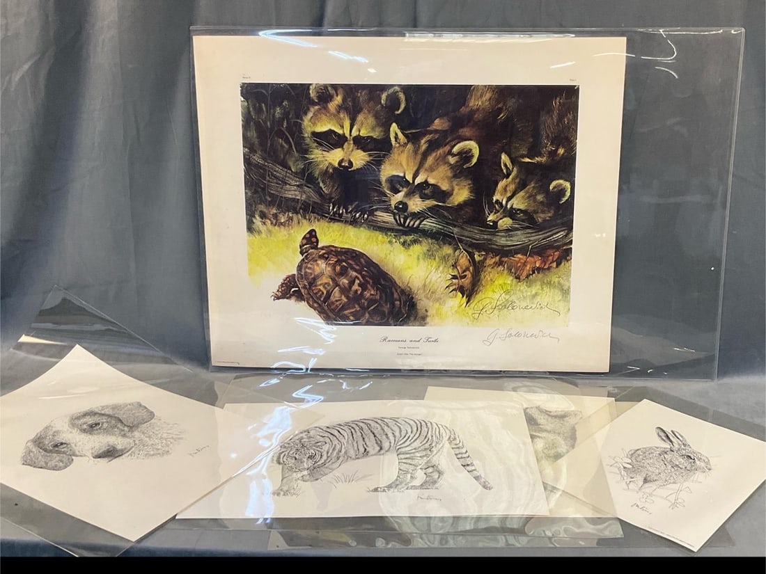 Vintage Animal Prints: Lot of six mid-1970's animal prints. One George Solonevich "Raccoons and Turtles ". Five William Gilbert Lindsay reproduced pen and ink drawings consisting of a possum, tiger, raccoon, rabbit, and