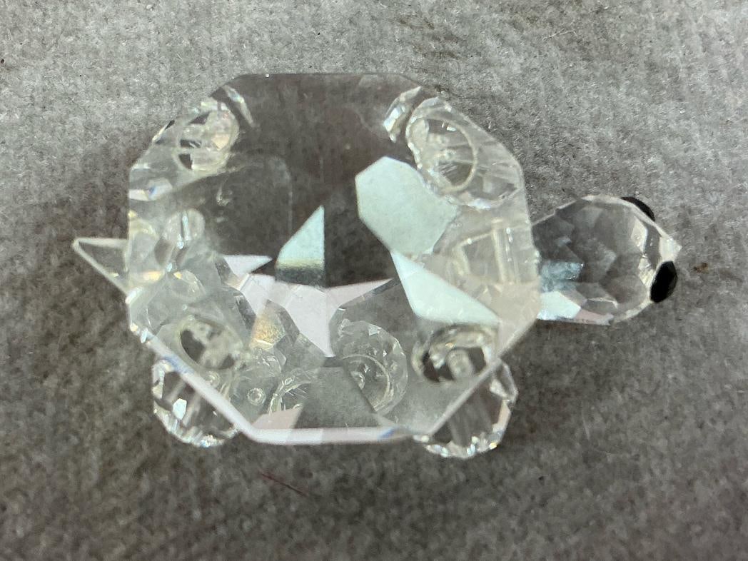 Crystal Turtles - 4