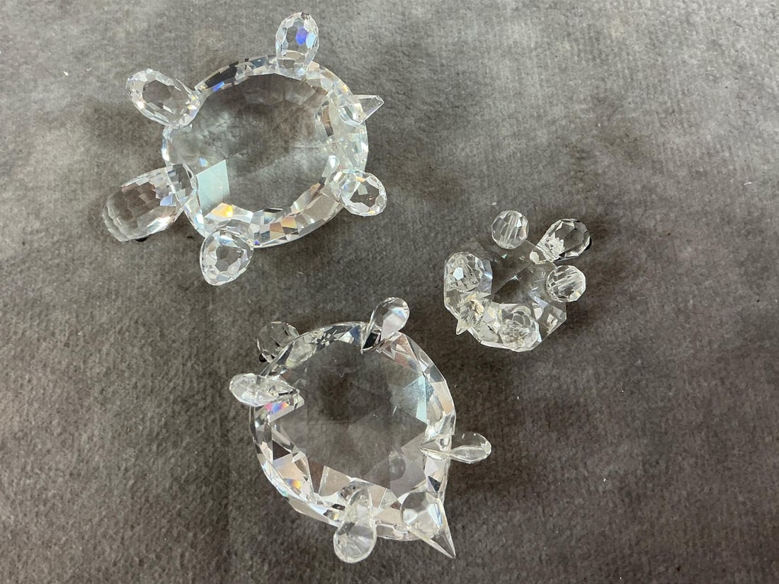 Crystal Turtles - 5