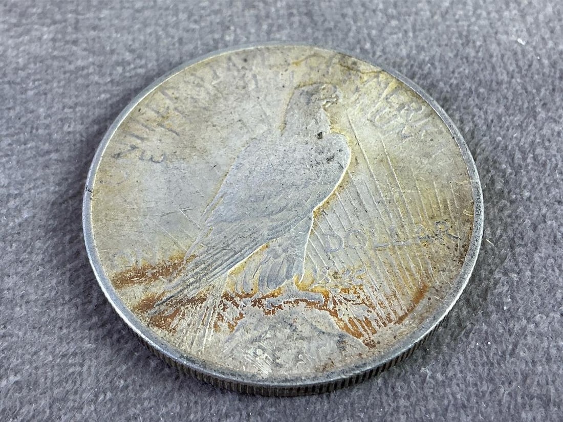 US Peace Dollars - 6