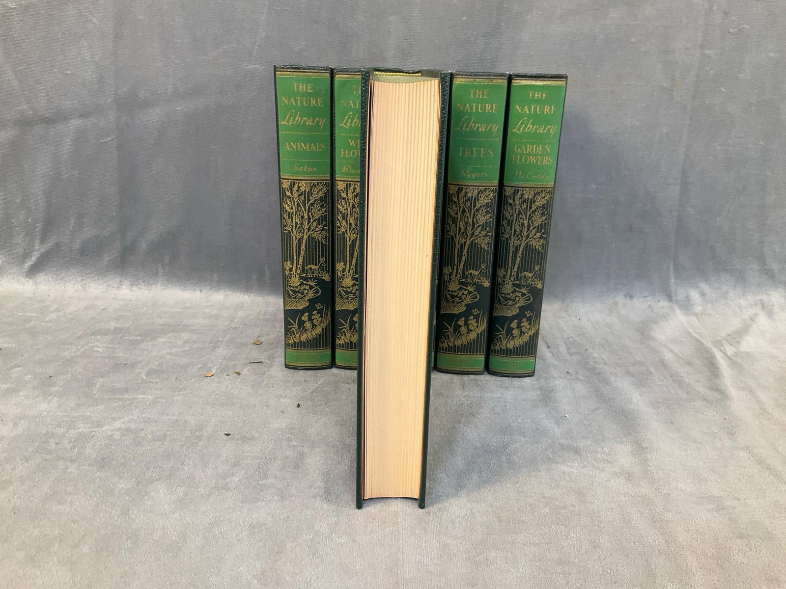 Nature Books - 10