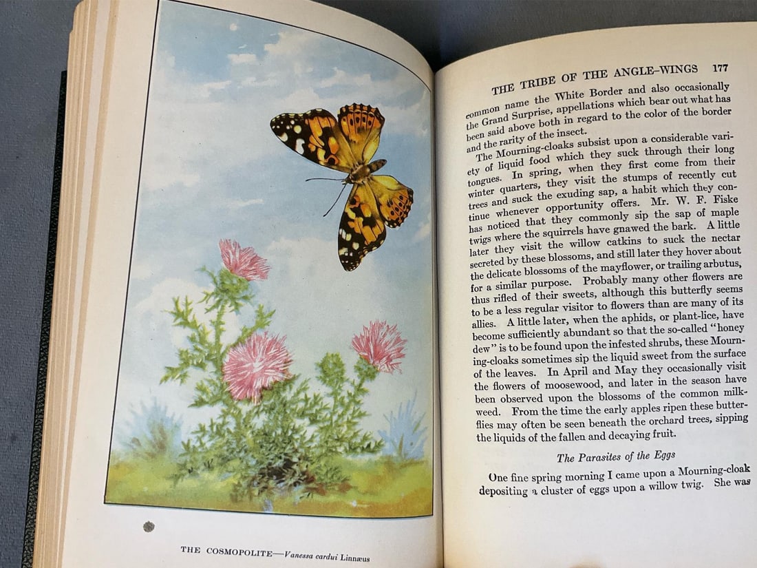 Nature Books - 13