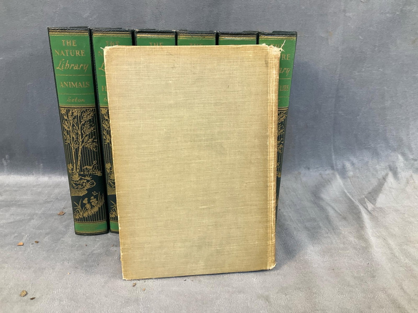 Nature Books - 7