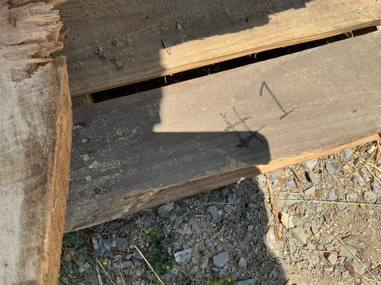 Rough Cut Maple Boards - 12