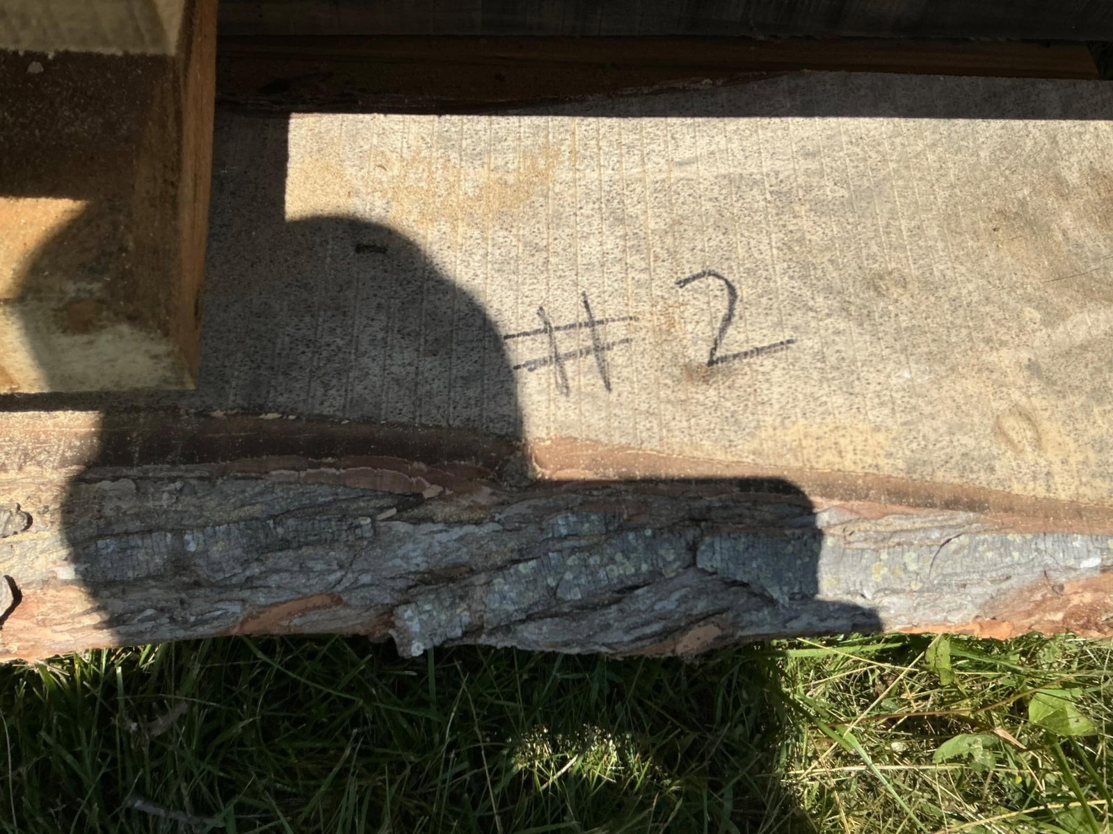 Rough Cut Maple Boards - 10