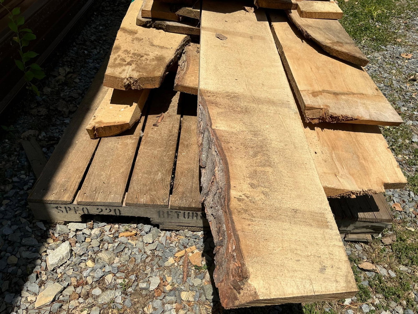 Rough Cut Maple Boards - 9