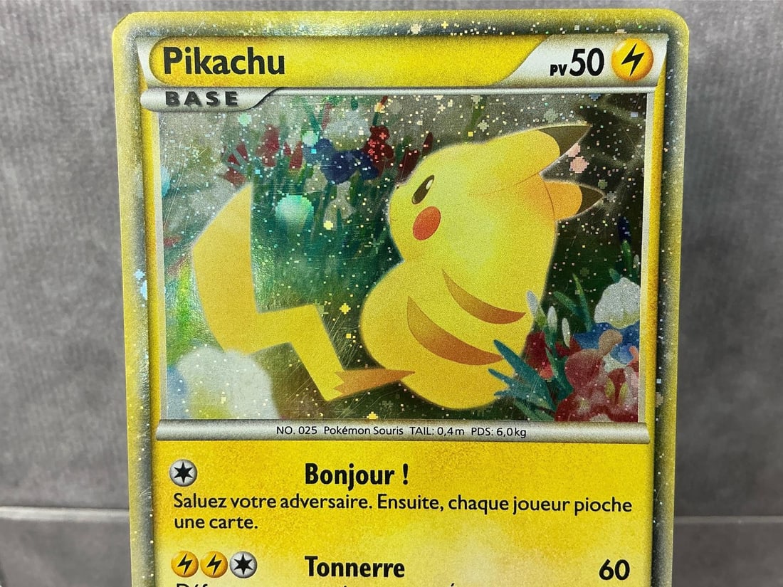 French Pikachu - 2